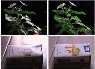 圖片8.jpg 圖片8.jpg